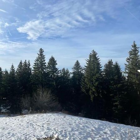 Chamrousse A 50M Des Pistes Appart 4/6 Екстер'єр фото